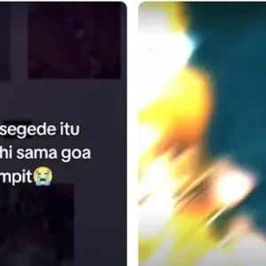 Ini dia! Full Link Video Viral Botol Coca Cola di TikTok Durasi 24 Detik