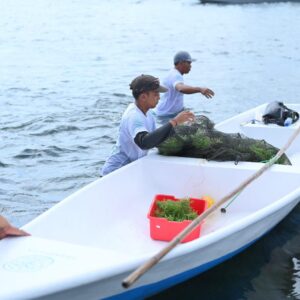 Sepanjang 2025, TJSL PLN Peduli Jangkau Lebih dari 700 Ribu Penerima Manfaat di Seluruh Indonesia