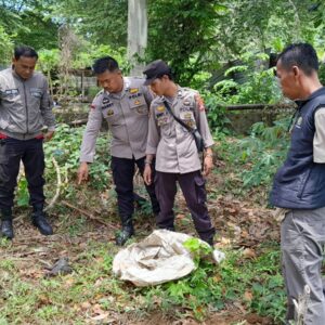 Bayi Ditemukan Tewas di Kalukku, Polisi Ungkap Orang Tua Terduga dalam 24 Jam