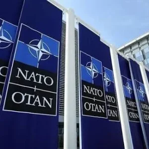 NATO Kembali “Mati Otak”