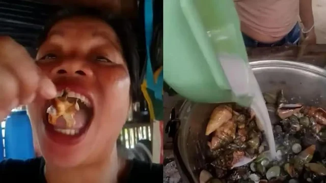 Tragis! Influencer Kuliner Tewas Usai Santap ‘Kepiting Setan’ demi Konten Video