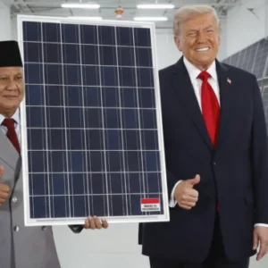AS Tiba-tiba Hantam Indonesia dengan Tarif 104 persen untuk Produk Panel Surya, Ternyata Ini Alasannya