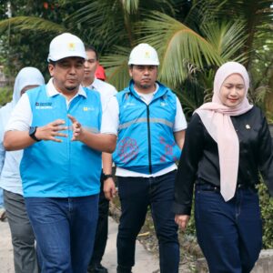 PLN–DPR RI Tinjau Progres Listrik Desa Pulau Semambu, 4,63 Km Jaringan Rampung Jangkau Lima Dusun