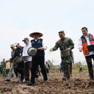 Dari Sawah hingga Kampung Wisata Al-Munawar, Gubernur Sumsel Jalani Rangkaian Kunjungan Kerja di Banyuasin dan Palembang