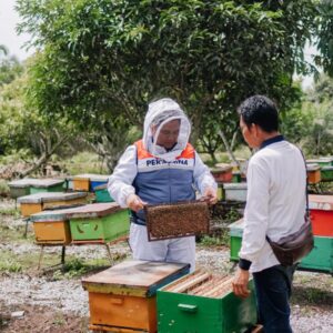 Sabet Dua Penghargaan Internasional, Buktikan CSR dan ESG PHR Zona 1 Diakui Dunia