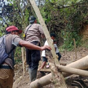 Penambang Tewas Tertimbun, Longsor Tambang Emas Ilegal di Kalumpang Kembali Makan Korban