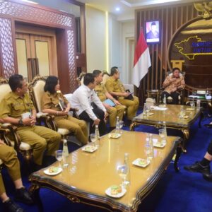Gubernur Sumsel Terima Kunjungan Konjen Tiongkok, Dorong Peluang Investasi dan Kerja Sama 