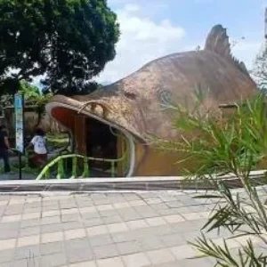 Viral! Dua Wisatawan Terkunci di Area Akuarium Kebun Binatang Bukittinggi, Simak Kronologinya