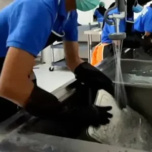 Bejat! Oknum Tukang Cuci Piring Dapur MBG Perkosa Gadis 13 Tahun, Rekam Aksi, Lalu Peras Korban