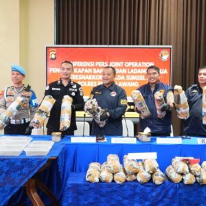 Sindikat Ladang Ganja di Empat Lawang, 20 Hektare Diamankan Polisi