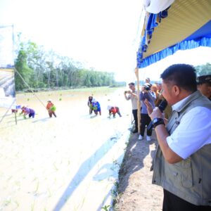 Pemprov  Siapkan Sumsel Hadapi El Nino, Targetkan Produksi GKG Tembus 5 Juta Ton