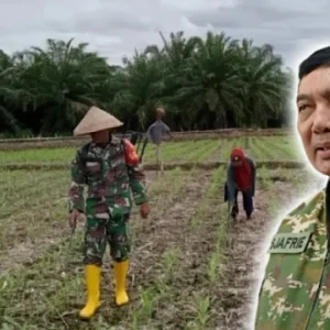 Menhan RI Ungkap Tugas Baru TNI: Angkatan Darat Tanam Jagung dan Padi, Angkatan Laut Produksi Kedelai