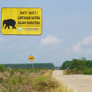 Merawat dan Menjaga Jalur Pulang Gajah Sumatra, Pertamina EP Zona 4 Tanam Pohon di Musi Rawas