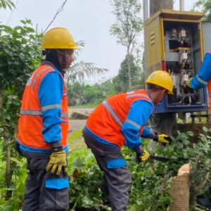 Pemeliharaan Gardu Distribusi Diperkuat, PLN Standarisasi Pengaman Gardu untuk Jaga Keandalan Listrik di Empat Lawang