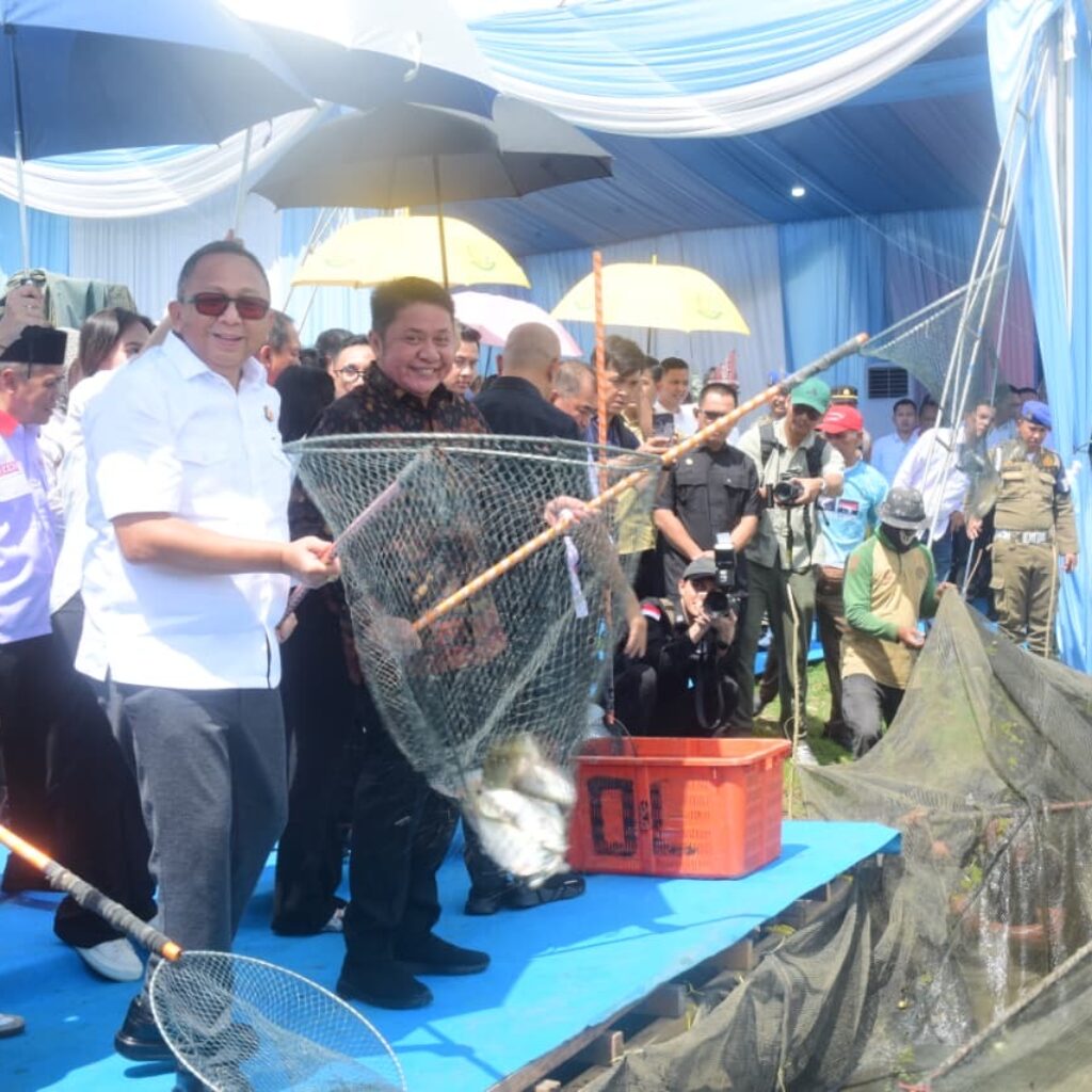 Tradisi Melebung, Menangkap Ikan Bersama di Kawasan Lebung atau Rawa Saat musim Kemarau di Ogan Ilir