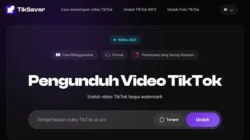 Watermark TikTok Bukan Hanya Sekadar Logo, Ini Alasan Banyak Orang Ingin Menghapusnya