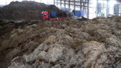 Ilmuwan China Ubah Limbah Pertanian dan Kehutanan Menjadi Bioarang Bernilai Tinggi melalui Terobosan Teknologi Hijau