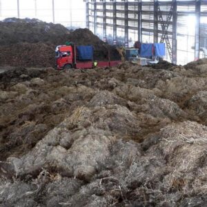 Ilmuwan China Ubah Limbah Pertanian dan Kehutanan Menjadi Bioarang Bernilai Tinggi melalui Terobosan Teknologi Hijau