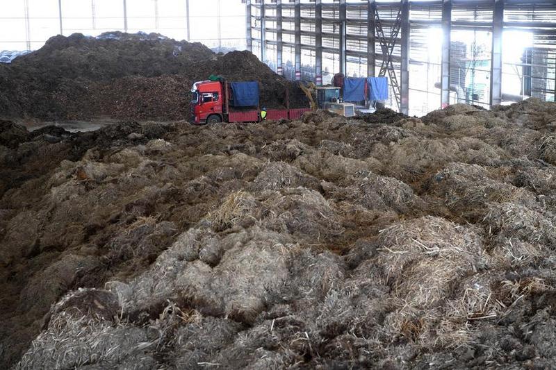 Ilmuwan China Ubah Limbah Pertanian dan Kehutanan Menjadi Bioarang Bernilai Tinggi melalui Terobosan Teknologi Hijau
