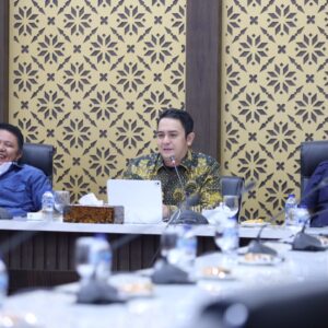 Herman Deru Inisiasi Pembentukan Wadah Organisasi Nasional Satlinmas, Usulkan Deklarasi Nasional Digelar di Sumsel