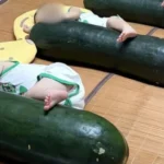 Viral!  Para Anak Balita di China Tidur Peluk Labu Musim Dingin sebagai Pengganti AC, Ahli Ingatkan Dampaknya