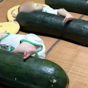 Viral!  Para Anak Balita di China Tidur Peluk Labu Musim Dingin sebagai Pengganti AC, Ahli Ingatkan Dampaknya