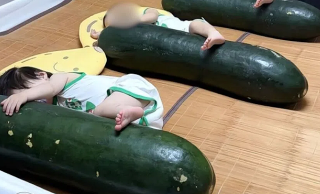 Viral! Para Anak Balita di China Tidur Peluk Labu Musim Dingin sebagai Pengganti AC, Ahli Ingatkan Dampaknya