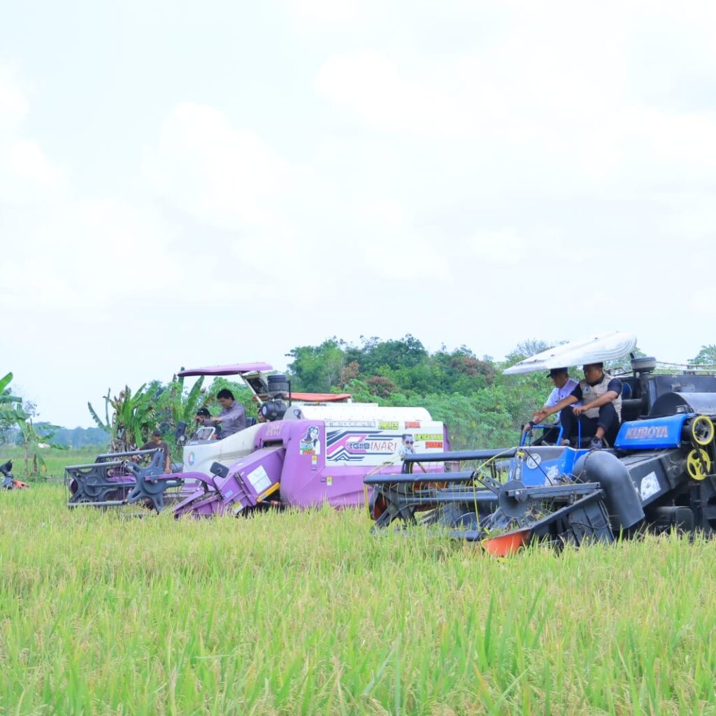 Panen Raya Padi IP 200 Seluas 3.194 hektar di Kabupaten Ogan Ilir