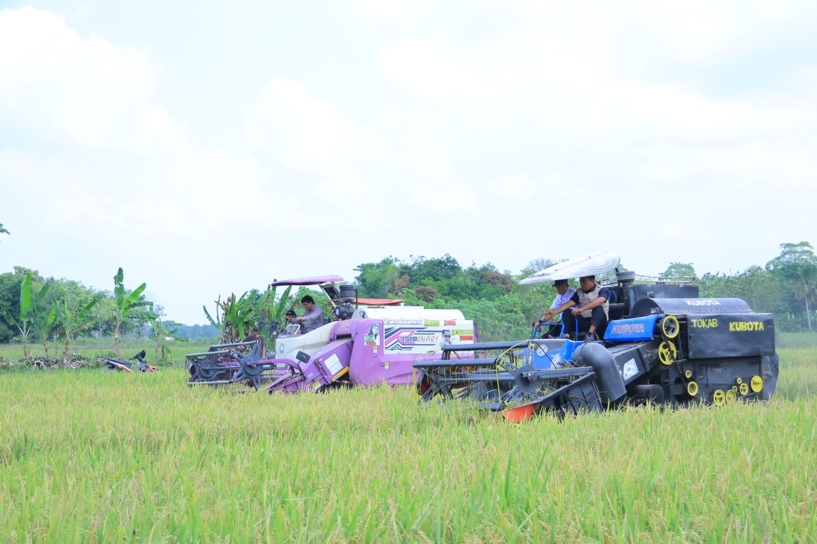 Panen Raya Padi IP 200 Seluas 3.194 hektar di Kabupaten Ogan Ilir