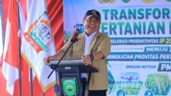 Panen Raya Padi IP 200 Seluas 3.194 hektar di Kabupaten Ogan Ilir Panen Raya Padi IP 200 Seluas 3.194 hektar di Kabupaten Ogan Ilir
