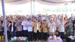 Panen Raya Padi IP 200 Seluas 3.194 hektar di Kabupaten Ogan Ilir Panen Raya Padi IP 200 Seluas 3.194 hektar di Kabupaten Ogan Ilir