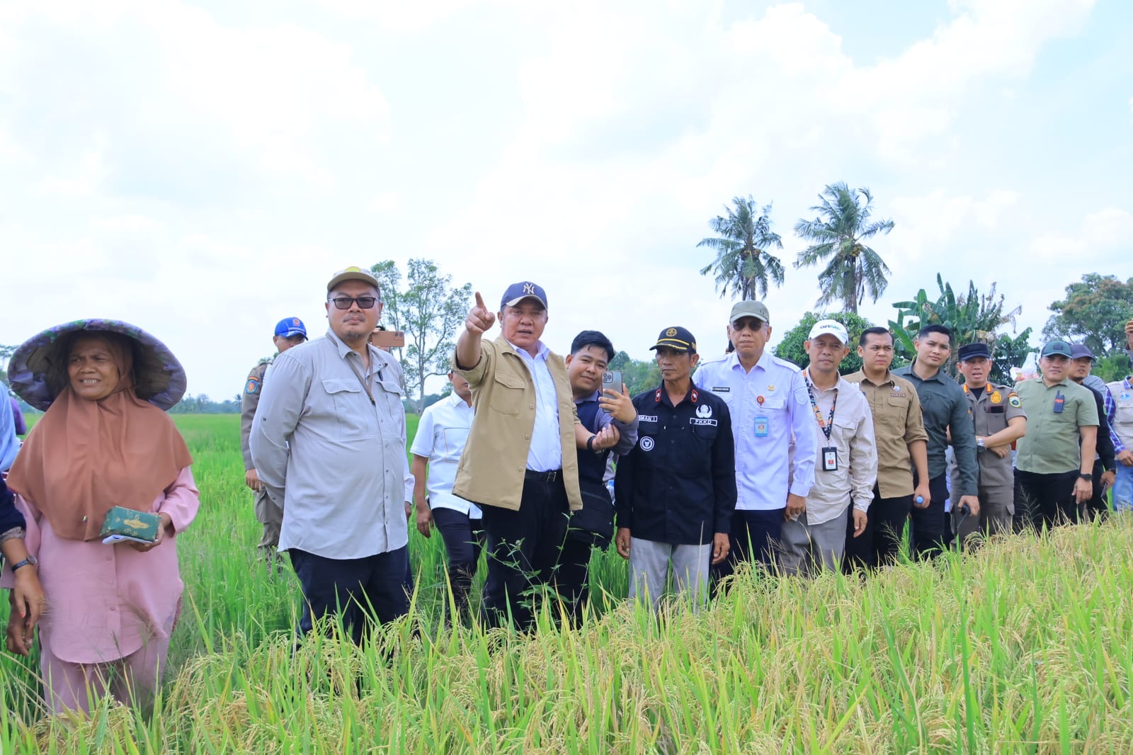 Panen Raya Padi IP 200 Seluas 3.194 hektar di Kabupaten Ogan Ilir